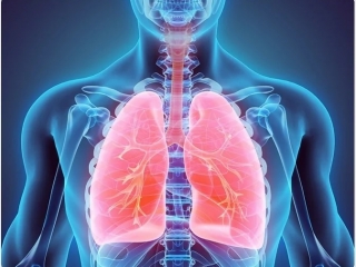 BỆNH PHỔI TẮC NGHẼN MẠN TÍNH (COPD)